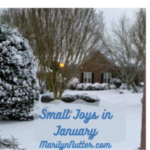Small Joys in January